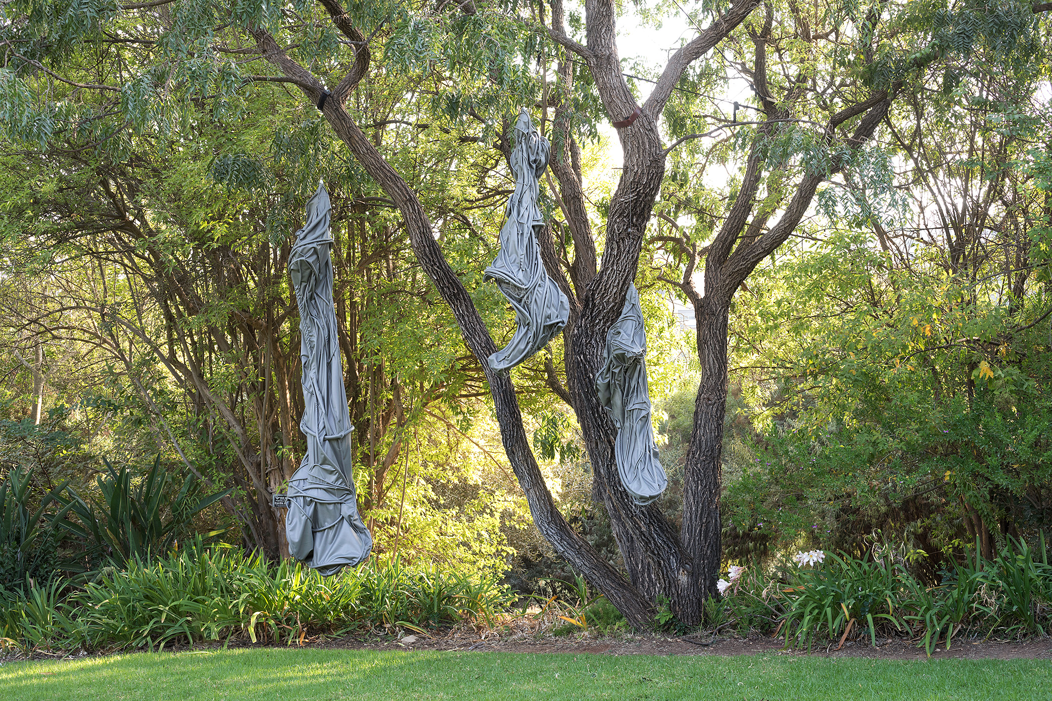 Untitled (Cocoon), 2019-2020, installation view at The Jerusalem Botanical Gardens