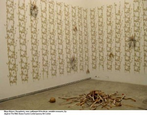 Maya Attoun: Exhibitions 